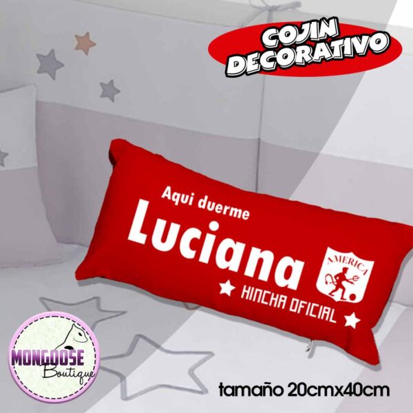 Cojin 20cm x 40cm "Hincha Oficial America"